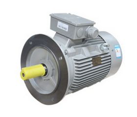 西馬格立式電機